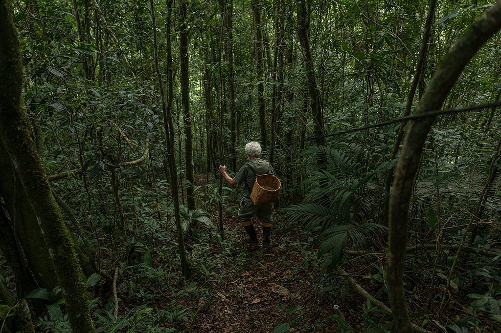 Environmentalist Lino Matheus de Sá Pereira, 74, is a forest grower. He estimates having planted 56 of the 82 hectares he pre