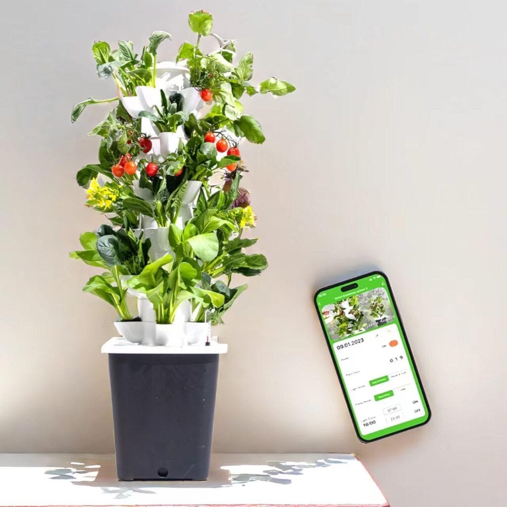 LnzyGarden's indoor smart garden device with growing plants, paired with a smartphone app for monitoring.