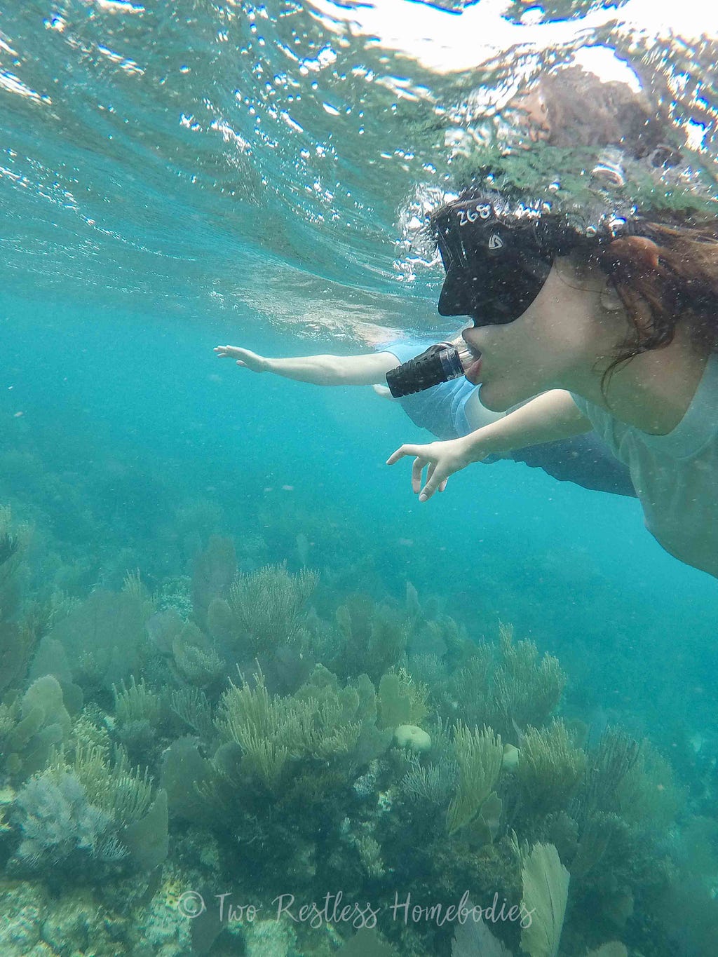 Two Restless Homebodies snorkeling on the Silk Caye reef in Belize