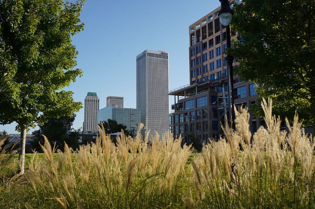 A photograph of tall buildings in the background, including one under construction, and grasses and trees in the foreground.