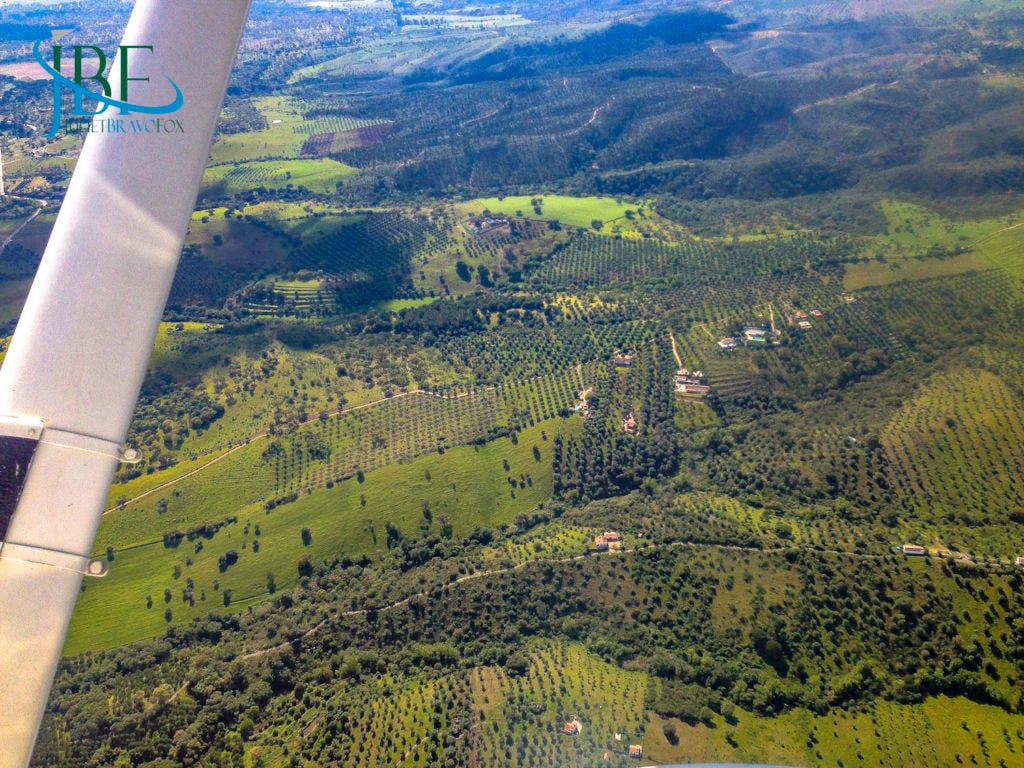 Flying Above Portugal’s Alentejo Terroir