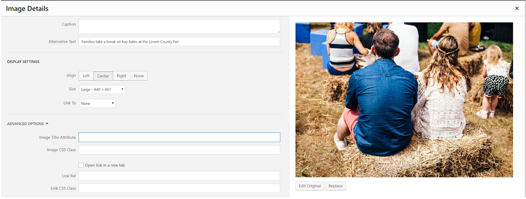 Image details being entered into a content management system form.