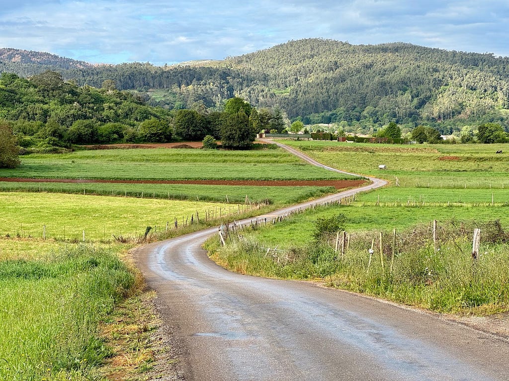 Winding road through farm fields, with green hills in the distance.
