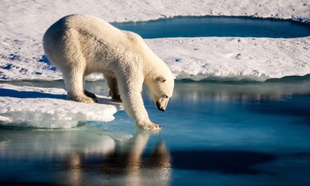 Réchauffement climatique : Plus grave que prévu