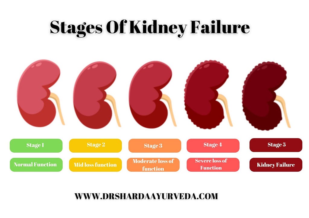 Stages Of Chronic Kidney Failure