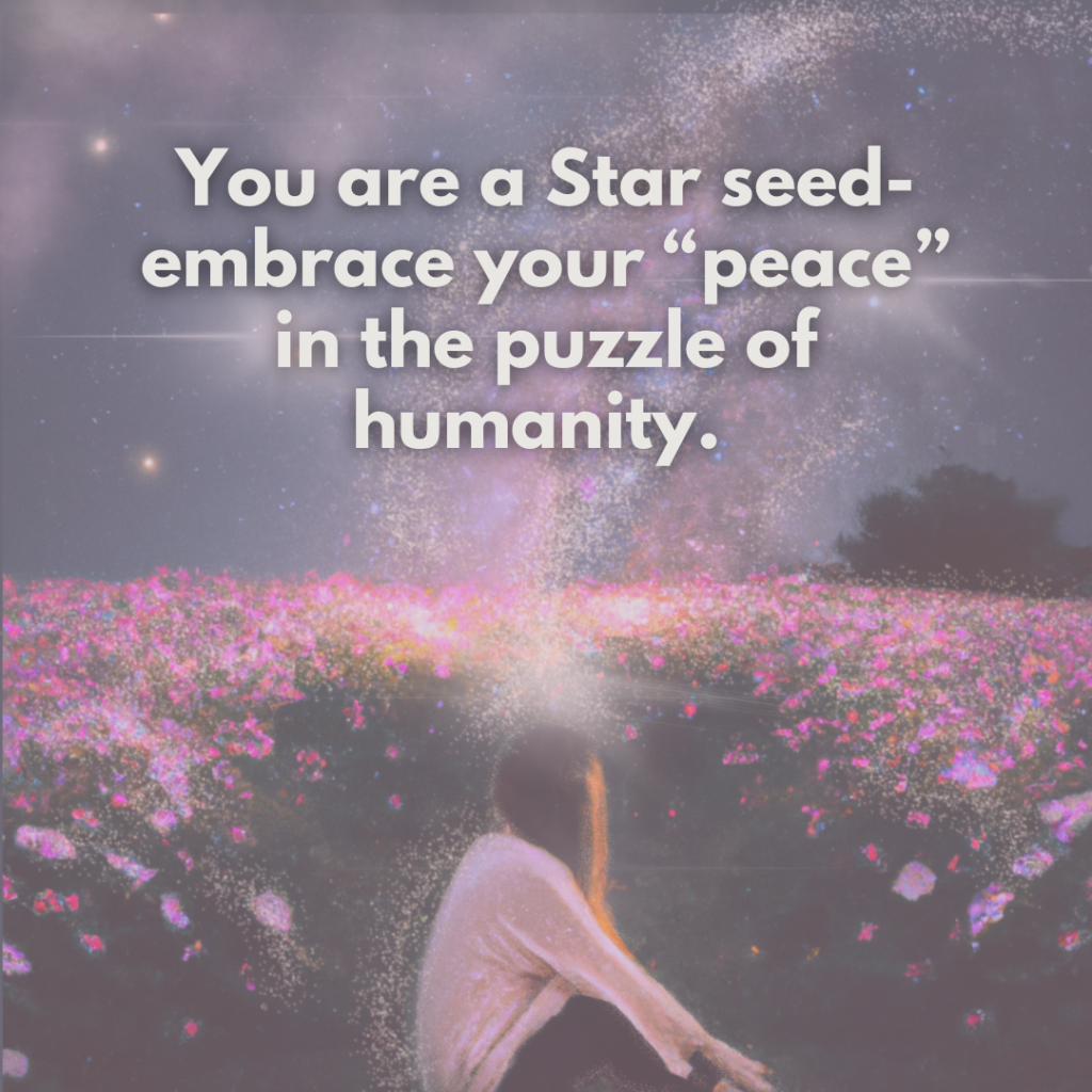 A person sits in a field of flowers, gazing into a starry sky filled with cosmic dust. The text overlay reads, “You are a Star seed — embrace your ‘peace’ in the puzzle of humanity.” The scene evokes a sense of connection to the universe and inner contemplation.