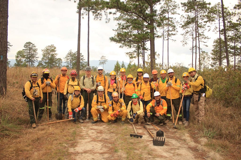 A group of firefighters pose for a group shot in a forest clearing. All are wearing yellow jackets and hardhats, and several are holding firefighting and forest clearing equipment.