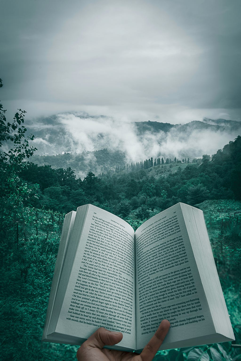 A photo of someone holding a book overseeing a vast, rich, dark green valley. There appears to be a fog over the valley far away.