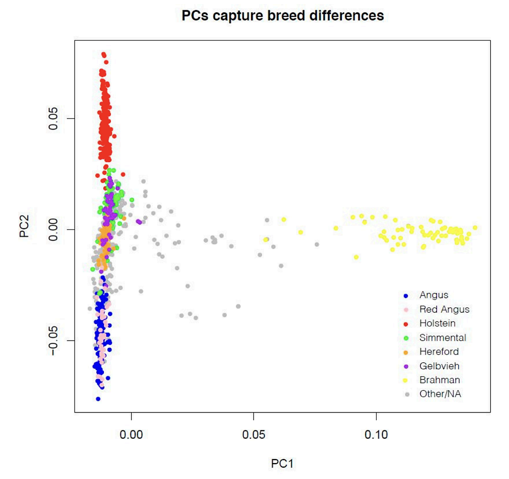 Cover image for New publication in collaboration with the USDA: Assessment of Imputation from Low-Pass Sequencing…