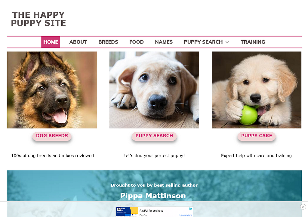 Puppy Selling Websites: Find Your Perfect Puppy Today