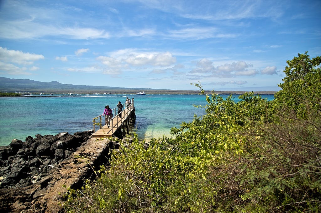 Photos Of The Galápagos Image: A group of travellers walks on a wooden pier—turquoise waters are behind them.