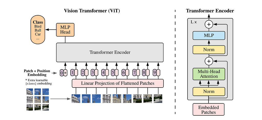 Figure 3- ViT Architecture - Source