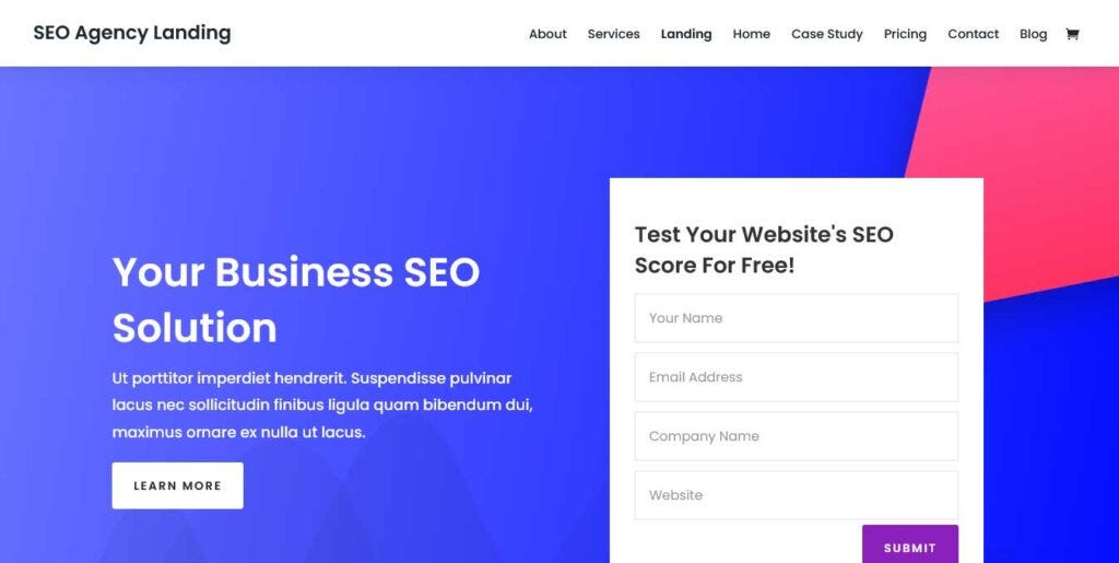 SEO WordPress Theme