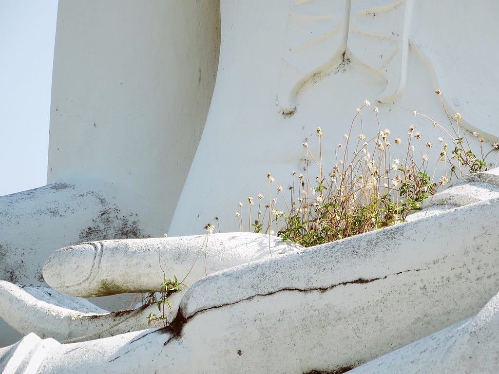 Buddha Hands: Hands of White Buddha Statue