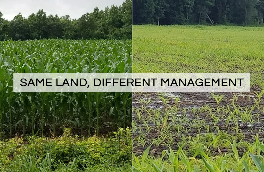 Difference in land between regenerative farming and traditional farming.