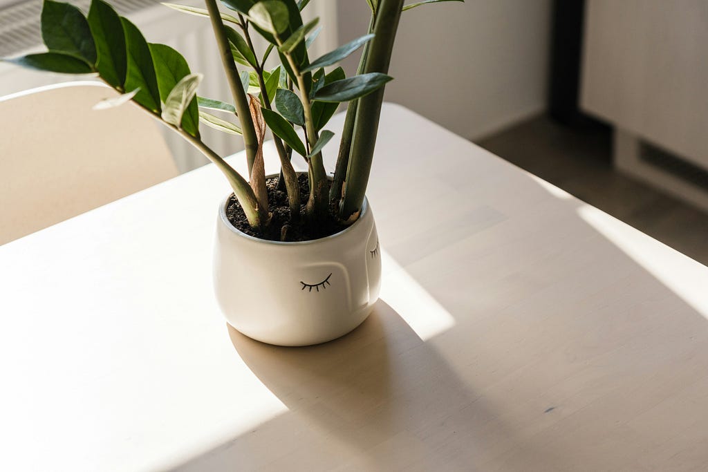 A small white plant pot on a table