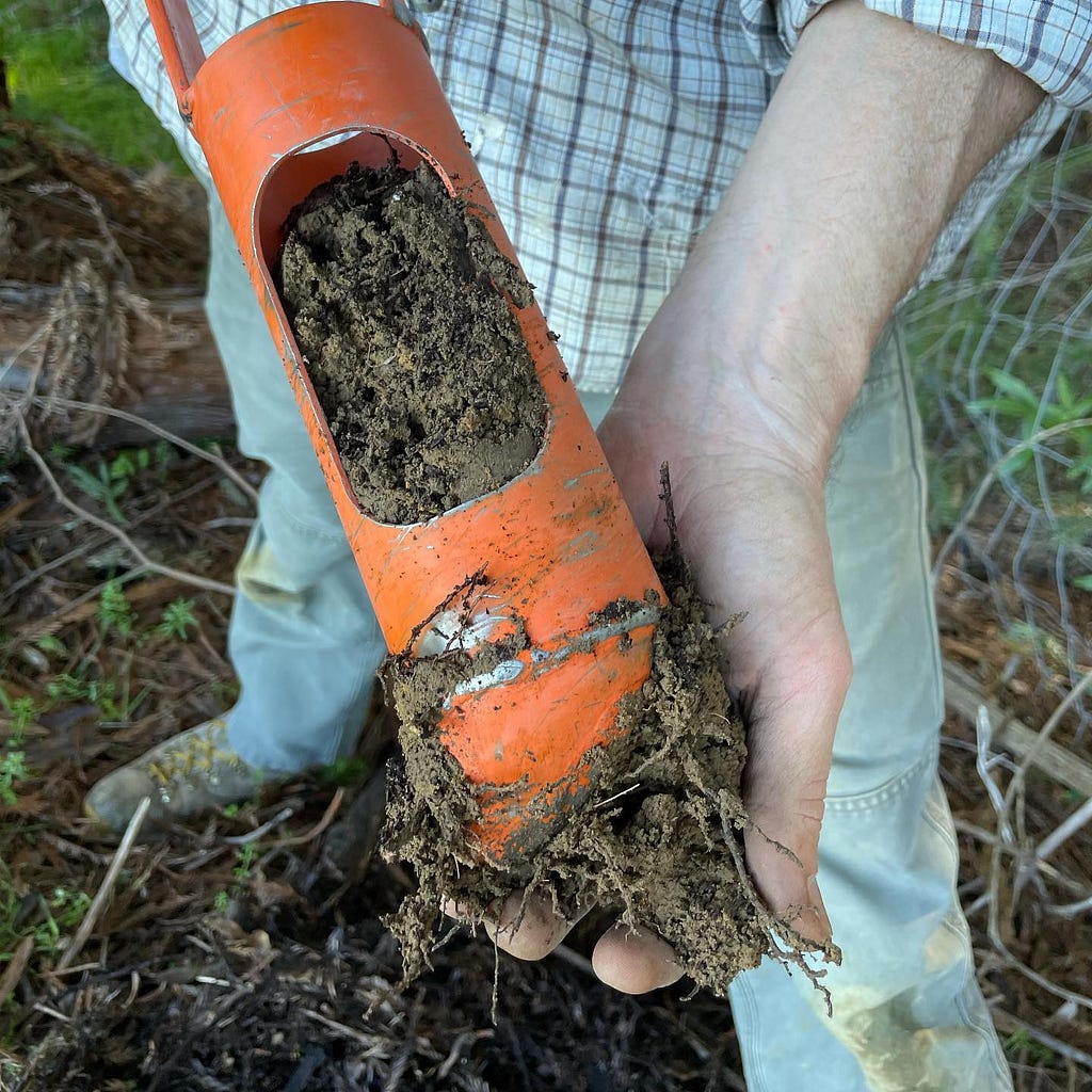 Soil sample is held up to camera by volunteer