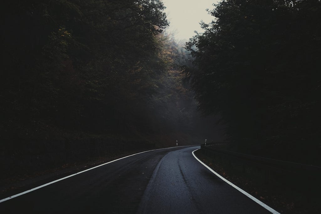 Dark photo of a paved road curving into a forest. There are shadowy trees on either side of the road.