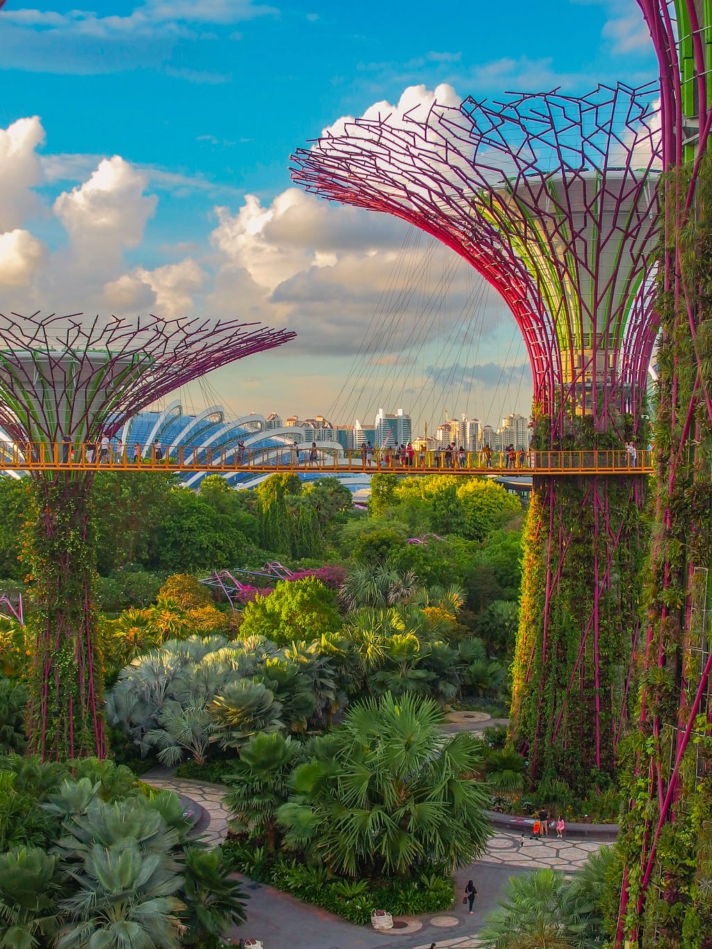 A beautiful picture of singapore
