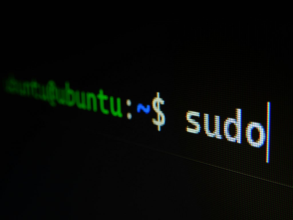 Command prompt showing the sudo command