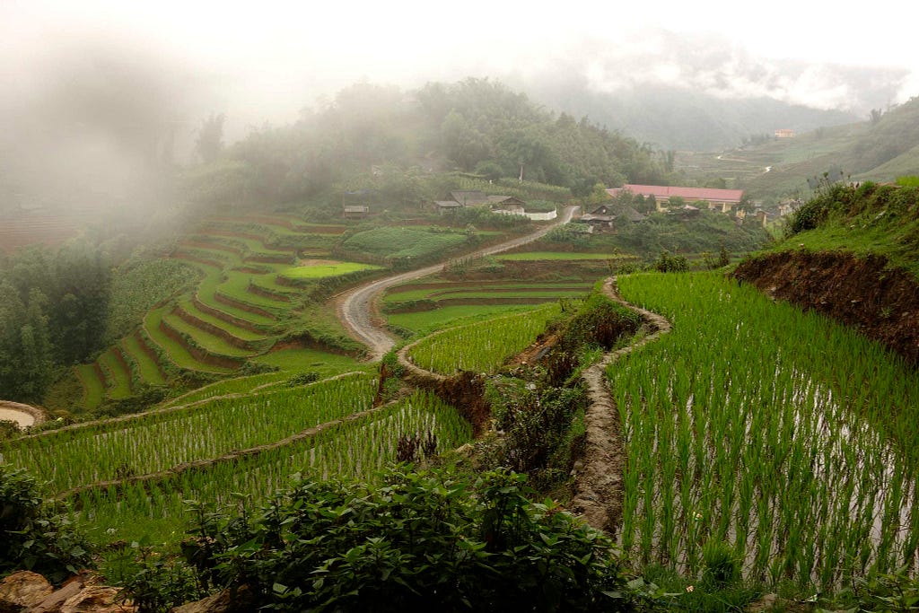 Rice terraces in Sa Pa Vietnam. Author: BRJ INC. (Flickr). Some rights reeserved.