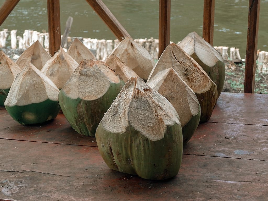 Cuba Coconut