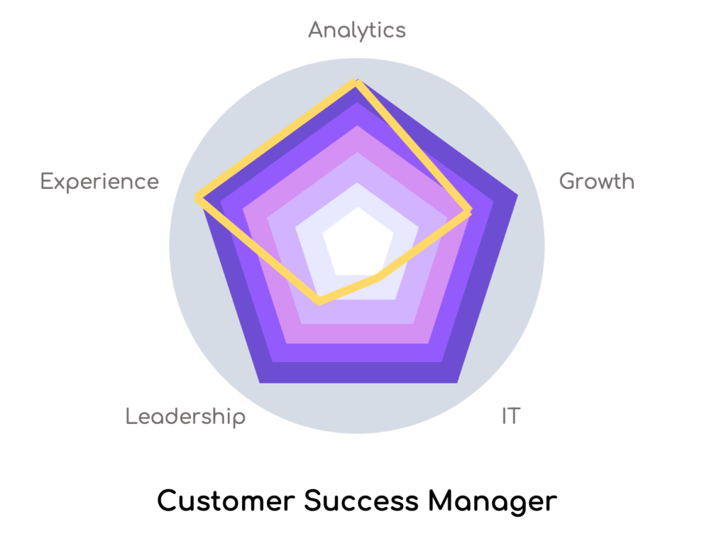Customer Success Manager Radar Chart