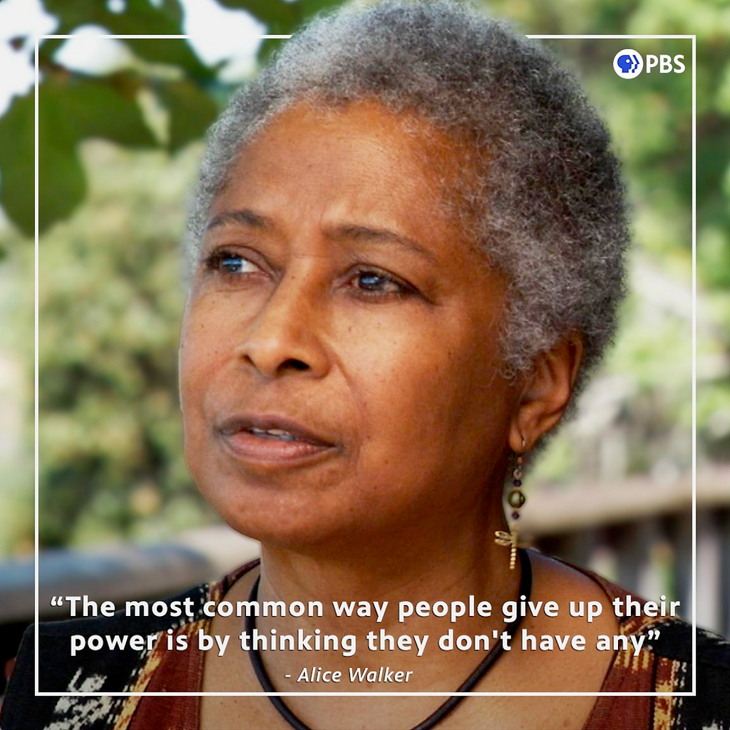 “The most common way people give up their power is by thinking they don’t have any.” — Alice Walker (photo of Alice Walker from PBS)