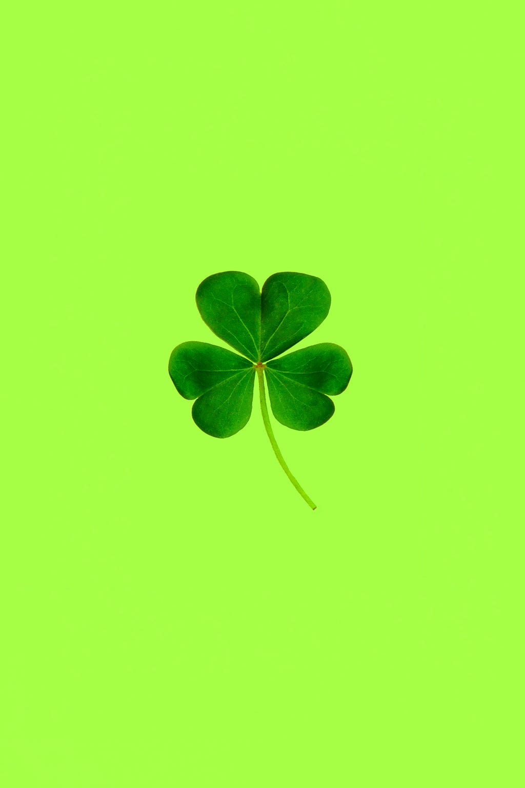 A three leaf clover