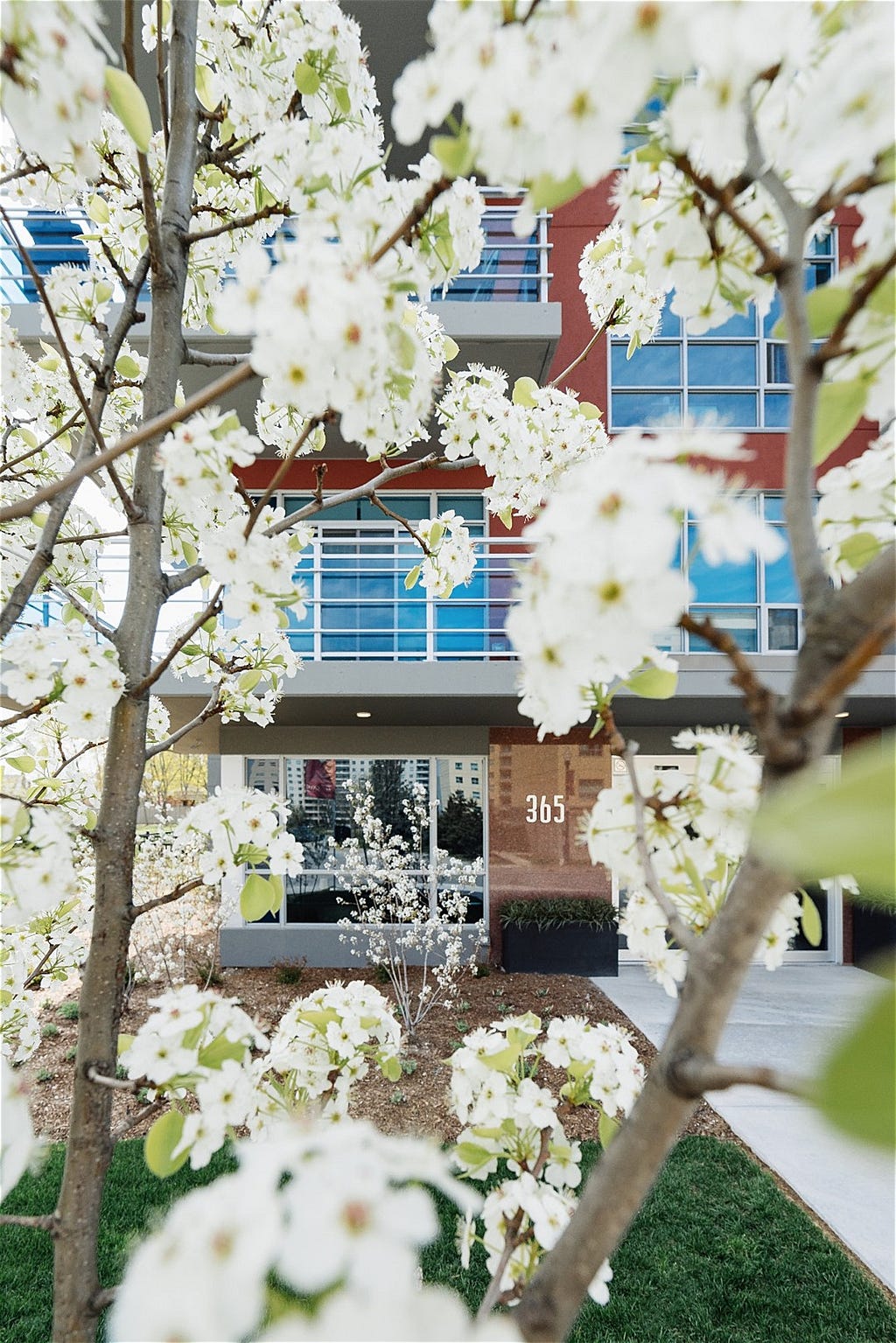 Mosaik Condos in London Ontario