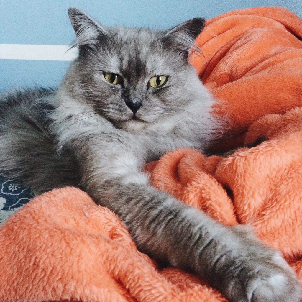 Storm, orange blanky