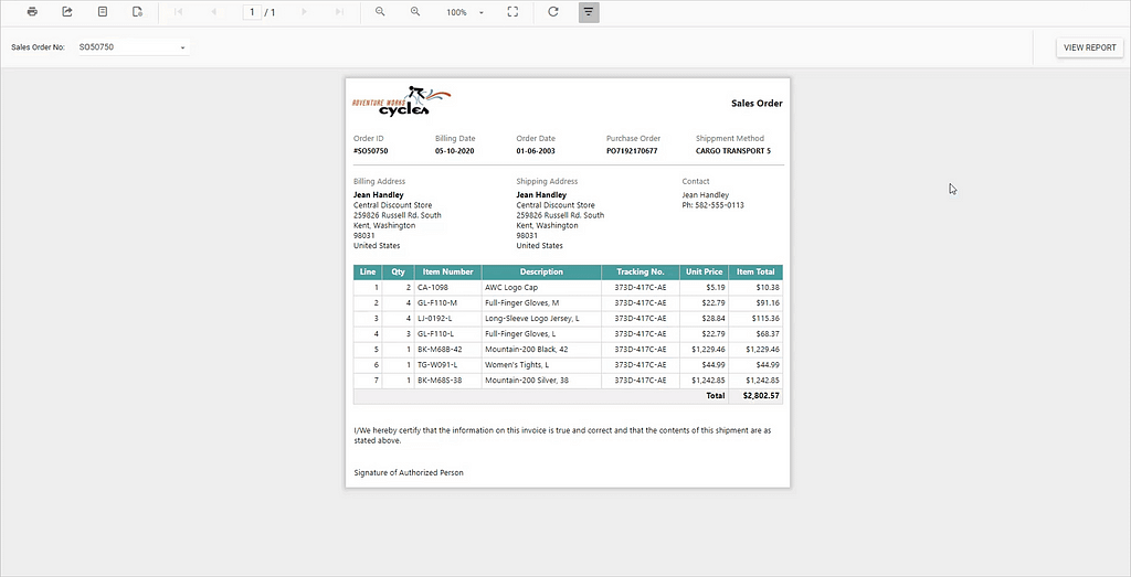 ASP.NET Core Web API for Report Viewer page