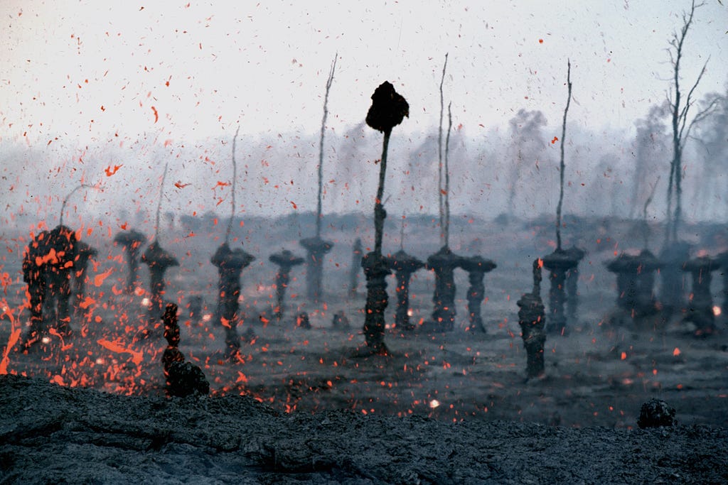 Image illustrate a disaster by showing burning ground and trees.