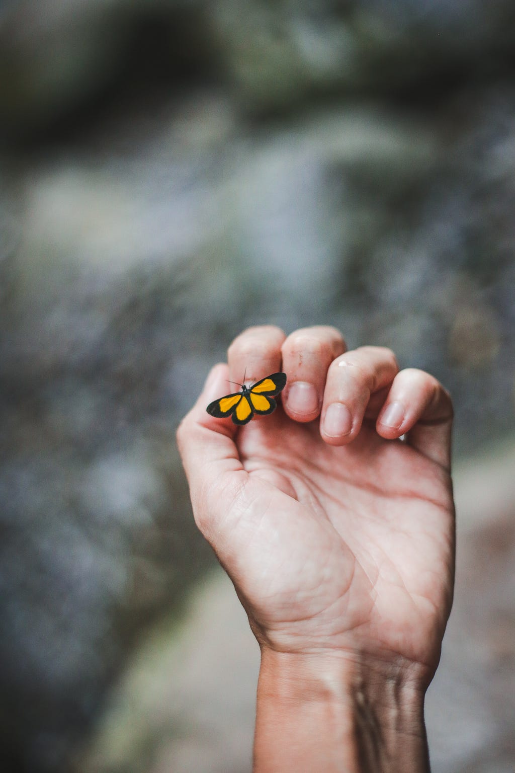 A picture of a hand, fingers curled, against a cloudy background with an orange and black butterfly sitting on the nail of the index finger.