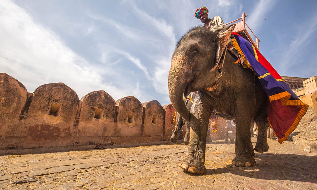 An Indian man rides an elephant past an ancient fort.