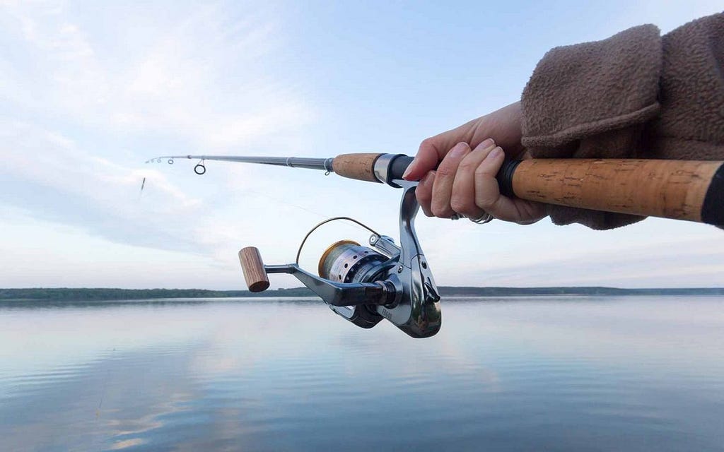the best 10 spinning fishing rods