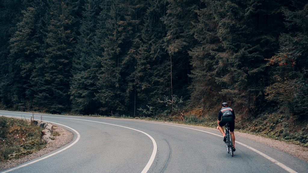 The image shows a biker riding through a curvy road in a pine tree forest.