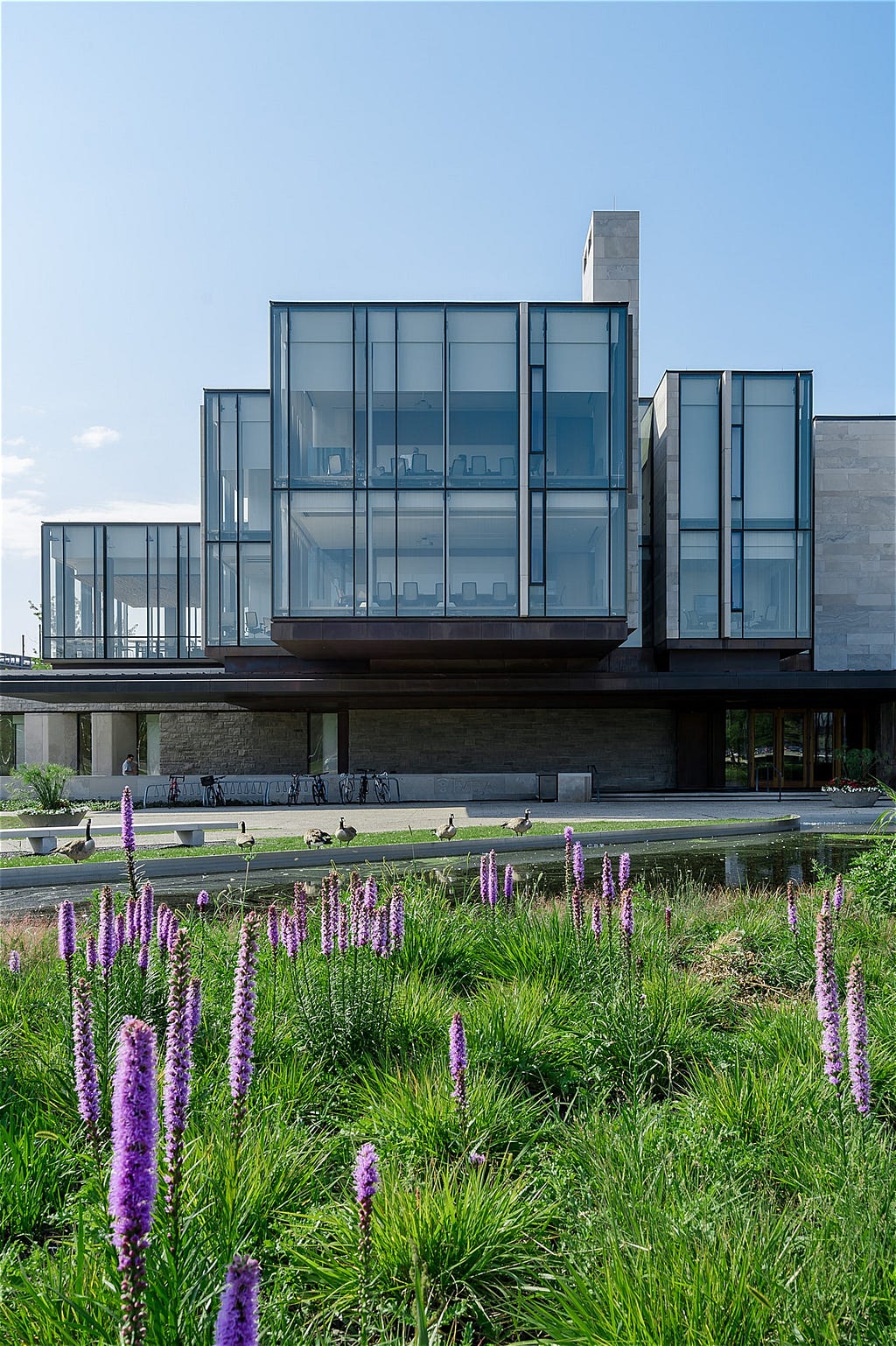 Ivey Business School Architecture shot through the surrounding summer landscape