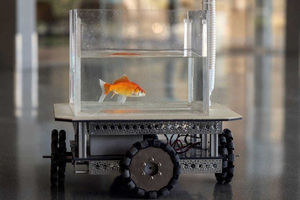 A goldfish in a cube-like fishbowl contraption, which is connected to 4 wheels (one in each of the 4 sides) to help “steer” the vehicle