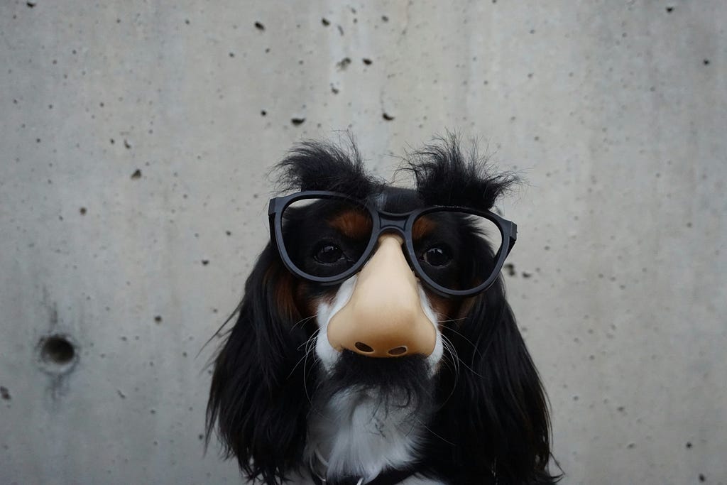 A dog wearing odd looking spectacles