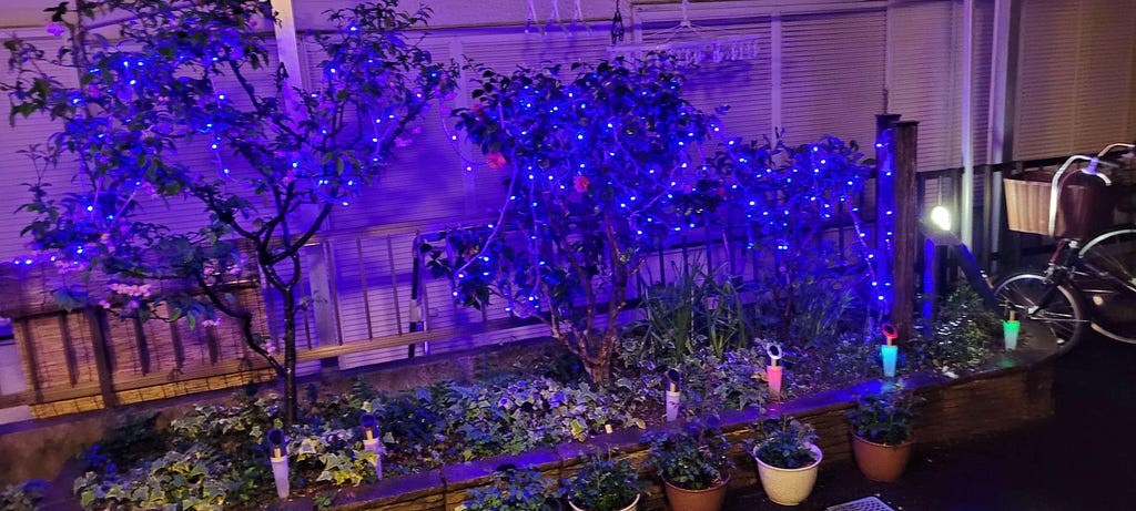 Blue Christmas-tree style lights