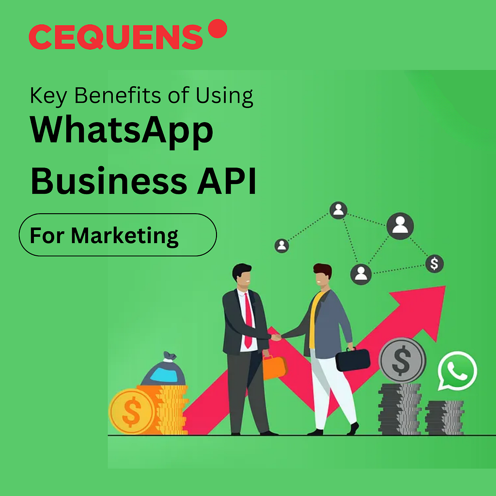 Cequens WhatsApp Business API Egypt