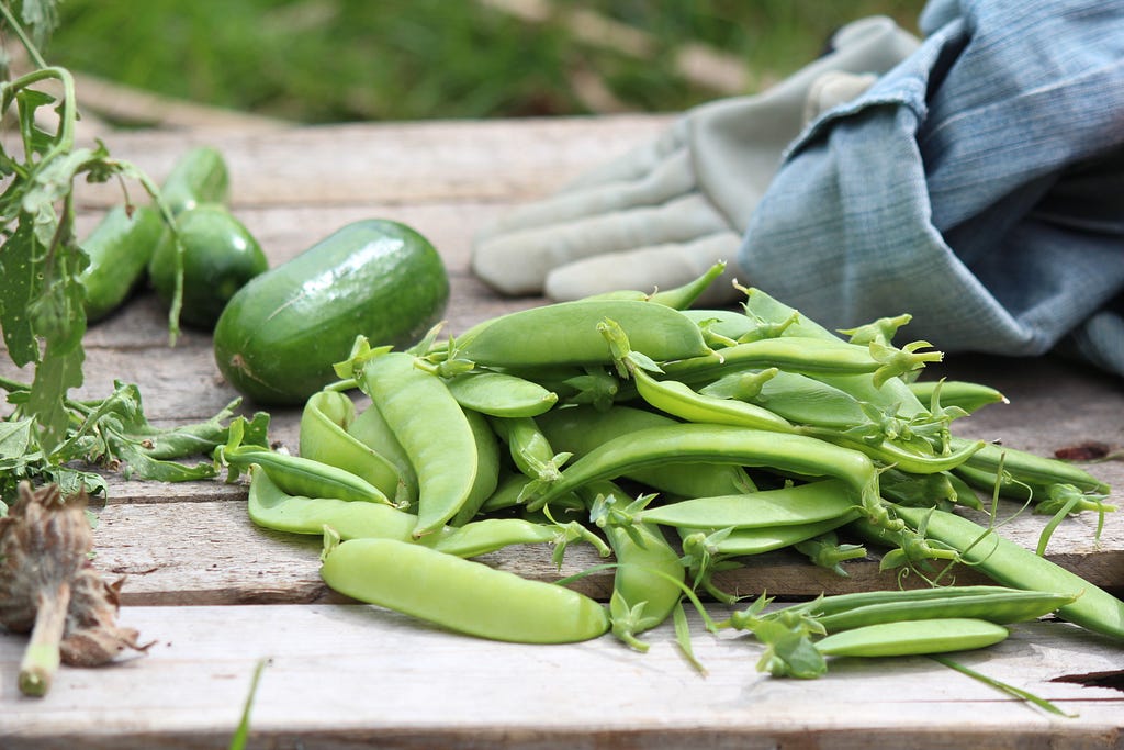 peas and cucumbers from a garden lying on a table