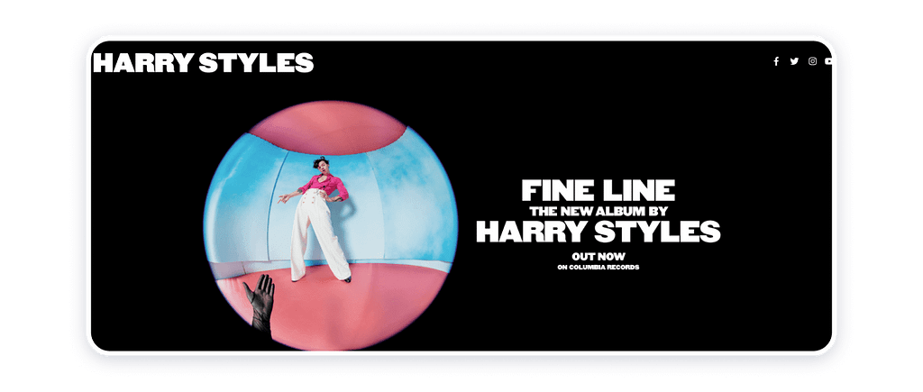 Harry Styles website example