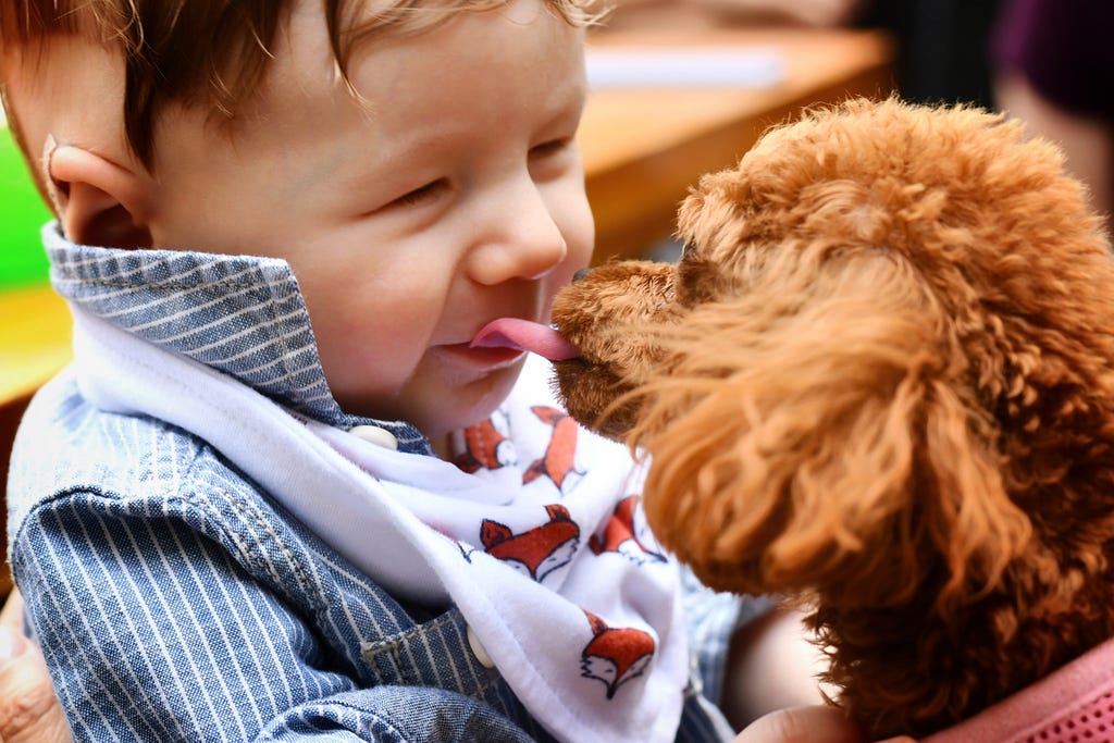A dog licking a baby’s face playfully.