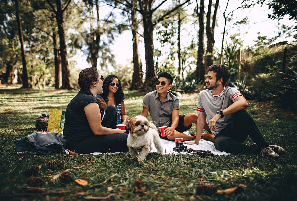 A group of friends sitting on a blanket at the park with their dog and laughing with each other.