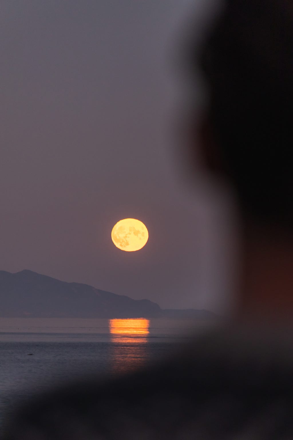 A bright, full moon hanging above water. The photo is taken behind the blurred silhouette of a person.