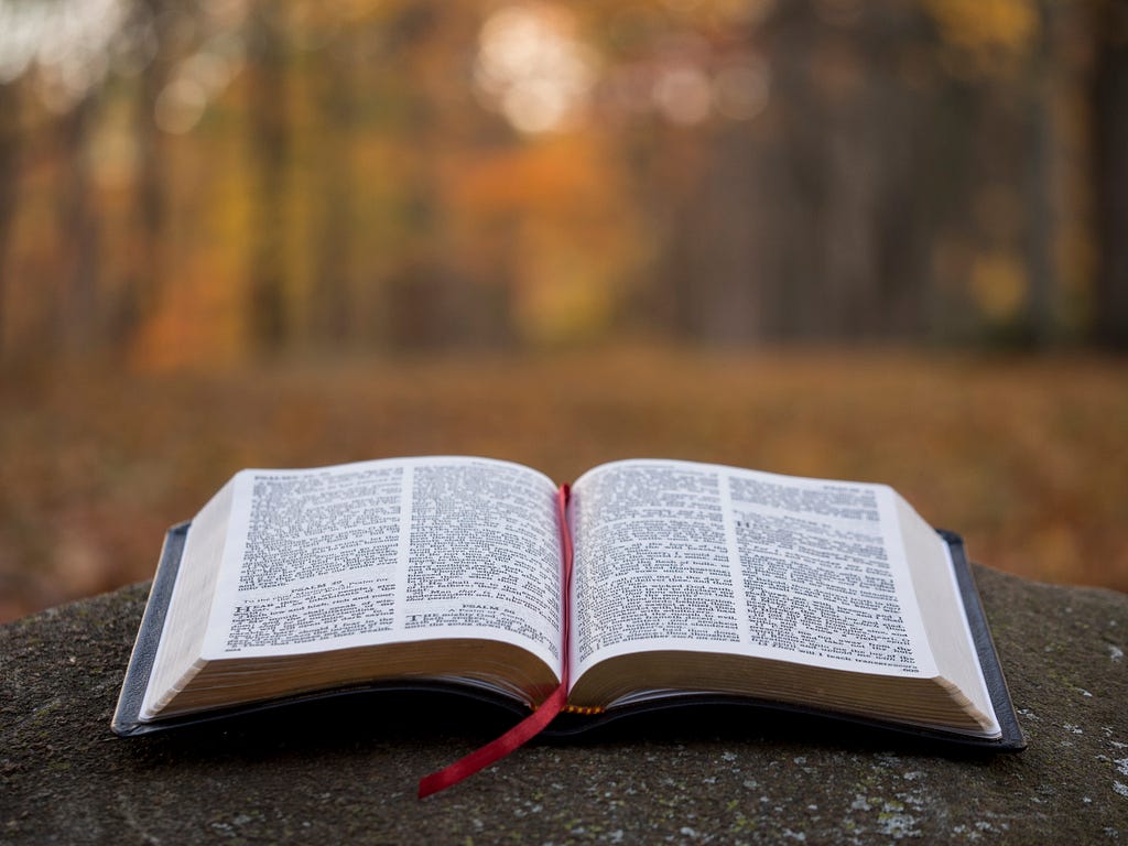 Close-up photo of a book, laid open on an unknown surface. The content can’t be read, but the headings “Psalm 49” and “Psalm 50” are visible. There is a red ribbon laid down the middle of the book, in between the two pages. The background is blurred, but appears to be an outdoors setting, possibly a forest.