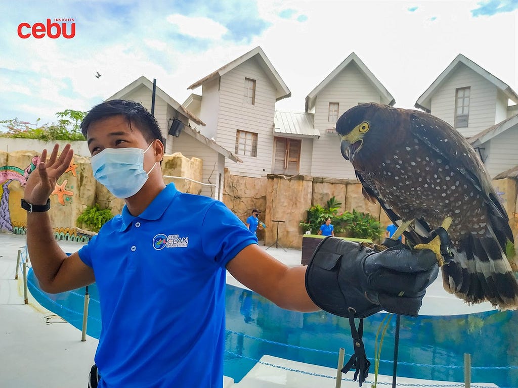 an image captured during a bird show at Cebu Ocean Park, image by Cebu Insights
