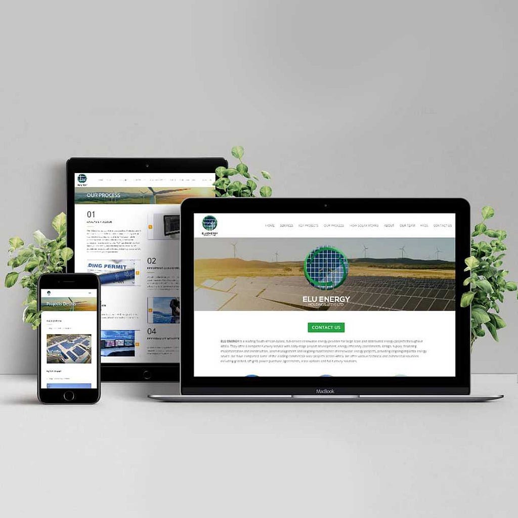 Elu Energy Website Design Project